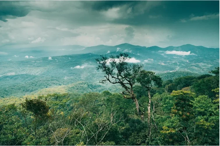 Khám phá vườn quốc gia Bidoup Núi Bà