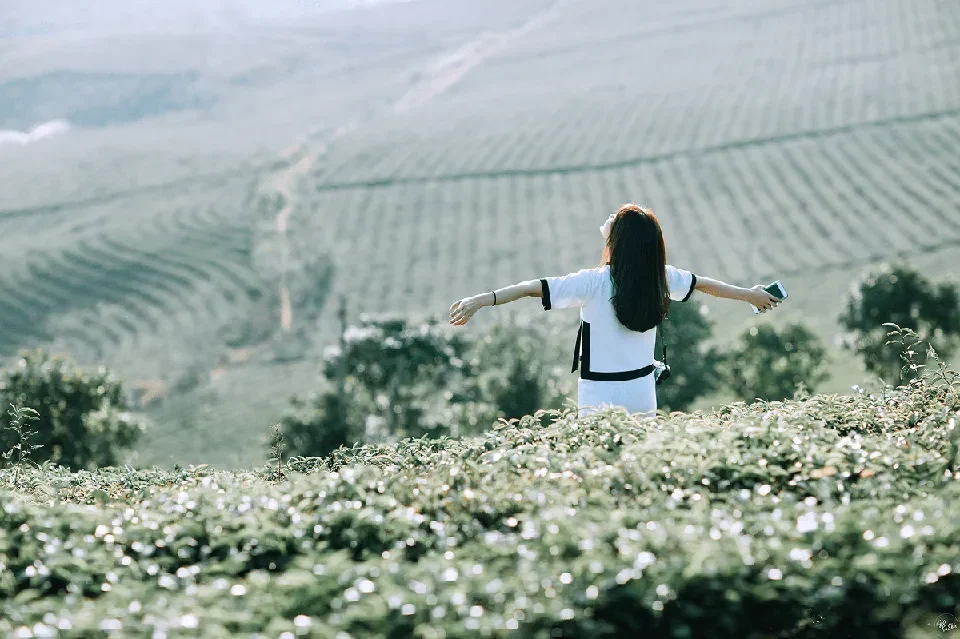 Tại sao mùa đông lại là thời điểm tuyệt vời để đi du lịch?