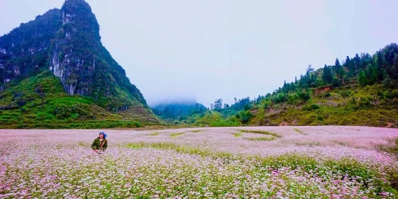 Tại sao mùa thu là thời điểm lý tưởng để đi du lịch?