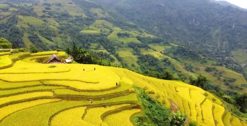 Thời tiết mát mẻ và dễ chịu