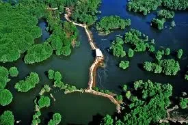 top vườn quốc gia gần Hồ Chí Minh