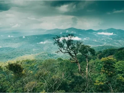 Khám phá vườn quốc gia Bidoup Núi Bà1
